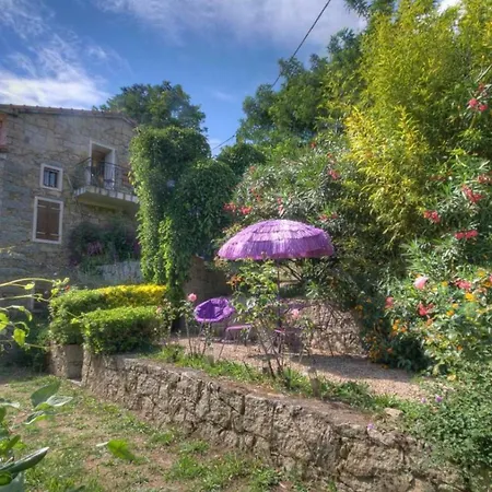 A Pivarella Daire Grosseto-Prugna