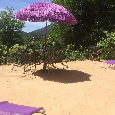 A Pivarella Grosseto-Prugna